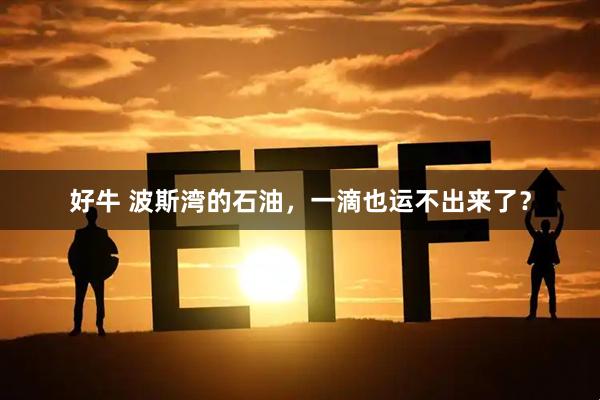 好牛 波斯湾的石油，一滴也运不出来了？