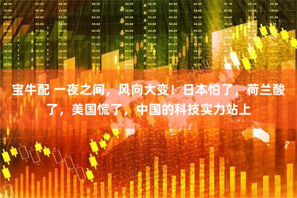 宝牛配 一夜之间，风向大变！日本怕了，荷兰酸了，美国慌了，中国的科技实力站上