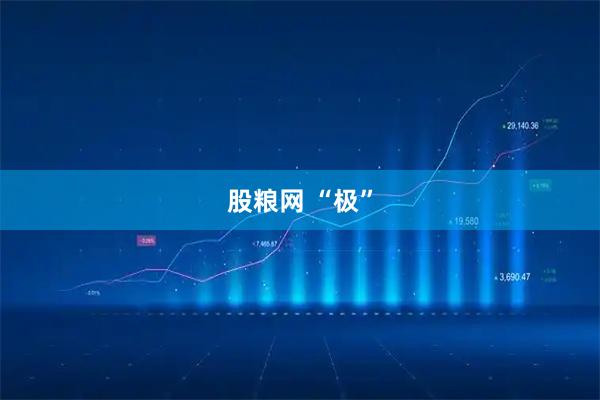 股粮网 “极”
