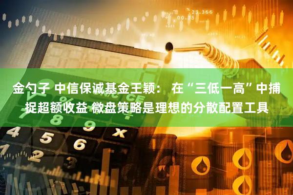 金勺子 中信保诚基金王颖： 在“三低一高”中捕捉超额收益 微盘策略是理想的分散配置工具