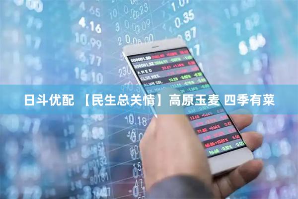 日斗优配 【民生总关情】高原玉麦 四季有菜